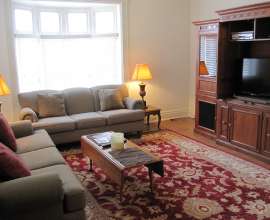 Apt 1 Living Room